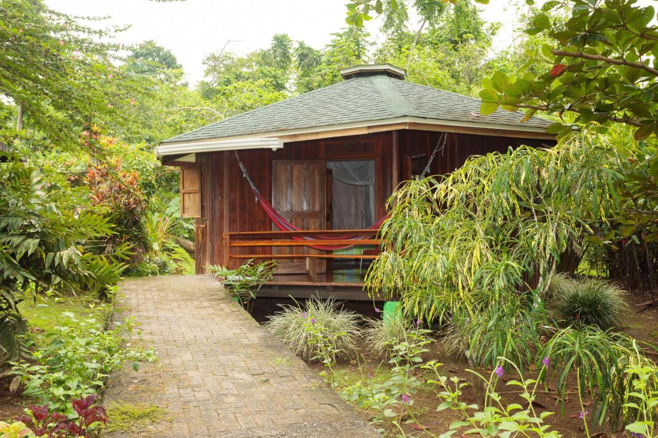 Bungalows Ache Cahuita Luaran gambar